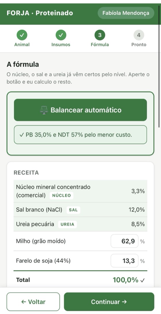 Tela do FORJA no passo 3, com a receita balanceada