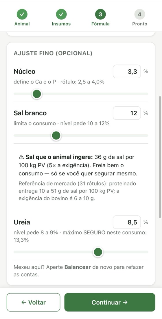 Tela de ajuste fino do FORJA com os limites de núcleo, sal e ureia e o aviso de sal ingerido